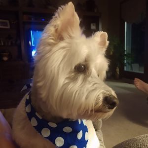 Meet your Posher, Karen